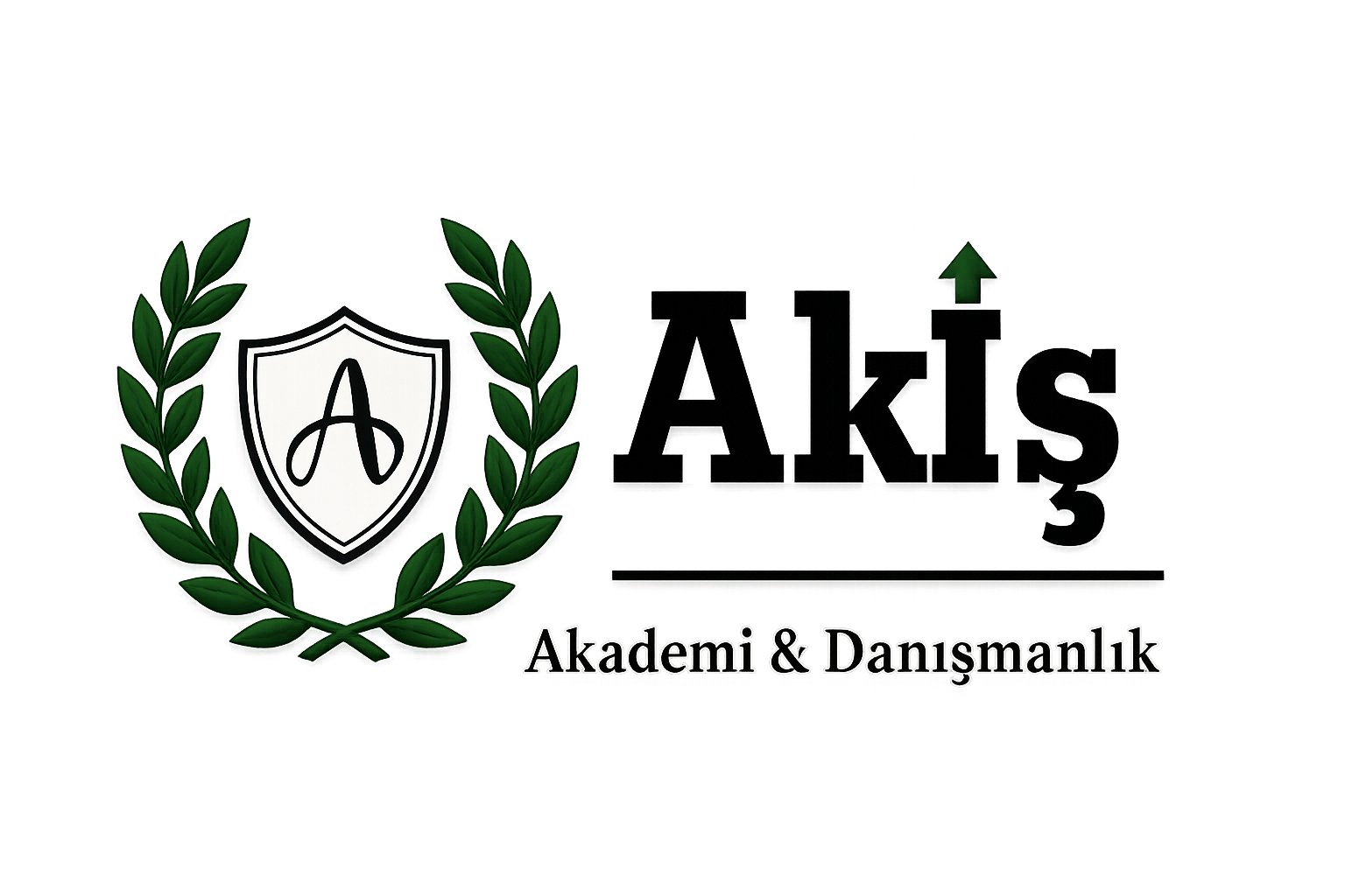 Akiş Akademi Logo